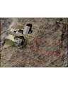 0 Apple Valley Drive - Photo 1
