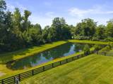 8499 Paddock Trail - Photo 52