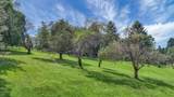 1859 Coonpath Road - Photo 55
