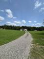 29430 Chestnut Drive - Photo 34