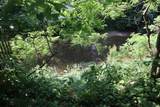 1720 Homer Road - Photo 29