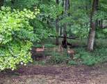 1550 Welsh Hills Road - Photo 42