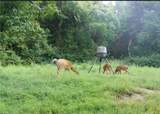 0 Tr 300, Davis Ridge Road - Photo 12