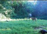 0 Tr 300, Davis Ridge Road - Photo 14