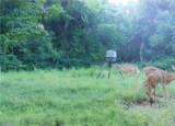 0 Tr 300, Davis Ridge Road - Photo 15
