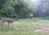 0 Tr 300, Davis Ridge Road - Photo 16