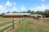548 Amity Road - Photo 6