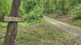 57859 Branch Road - Photo 3