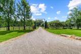 12515 Leeper-Perkins Road - Photo 3
