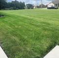 481 Terrace Drive - Photo 1