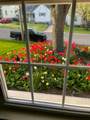 319 Washington Avenue - Photo 41
