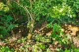 3545 Cedar Hill Road - Photo 84