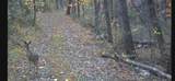 35047 Clay Hill Road - Photo 28