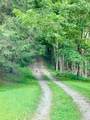 9898 Fallsburg Road - Photo 1