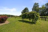 27261 Newcastle Road - Photo 60