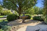 5831 Willow Bend Lane - Photo 6