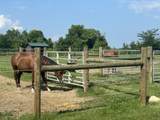 6090 Horseshoe Road - Photo 10