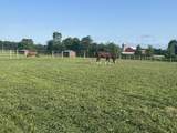 6090 Horseshoe Road - Photo 12