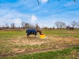 6090 Horseshoe Road - Photo 15
