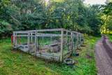 7626 White Chapel Road - Photo 51
