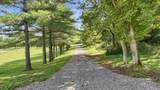 2215 Mcdonald Hill Road - Photo 65
