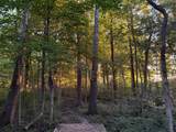 320 County Road 57 - Photo 66