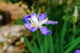5692 Juliana Place - Photo 83