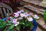 5692 Juliana Place - Photo 89