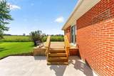 31250 Osborne Road - Photo 10