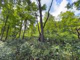 557 Hillsdale Drive - Photo 27