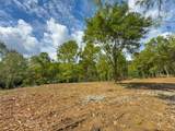 557 Hillsdale Drive - Photo 7