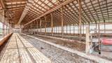 6642 Bennington Chapel Road - Photo 59