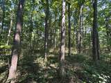 6642 Bennington Chapel Road - Photo 71