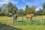 6147 Africa Road - Photo 61