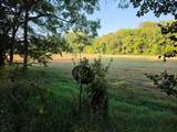 7715 Marietta Road - Photo 10