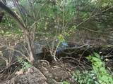 1404 Waggoner Road - Photo 31