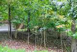212 Northern Spy Drive - Photo 30