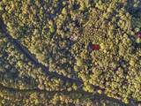 29802 Fairview Ridge Road - Photo 38