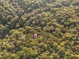 29802 Fairview Ridge Road - Photo 40