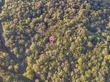 29802 Fairview Ridge Road - Photo 41