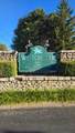 6414 Rossmore Lane - Photo 49