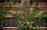 170-G5 Gay Street - Photo 46