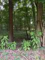 0-LOT #5 Dog Hollow Road - Photo 14