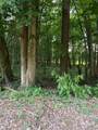 0-LOT #5 Dog Hollow Road - Photo 15