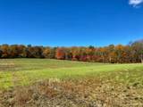 0-LOT #5 Dog Hollow Road - Photo 19