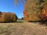 0-LOT #5 Dog Hollow Road - Photo 23