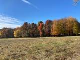 0-LOT #5 Dog Hollow Road - Photo 24