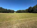 0-LOT #5 Dog Hollow Road - Photo 4
