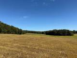 0-LOT #5 Dog Hollow Road - Photo 7
