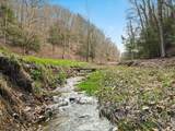 9385 Rich Hollow Road - Photo 110